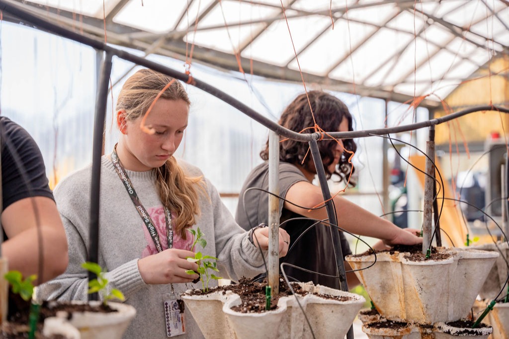 Students Planting Seedlings in Greenhouse
