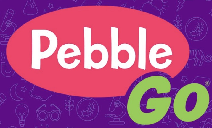 Pebble Go