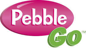 Pebble Go