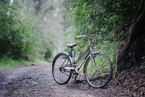 Bike on Bike Trail in the woods