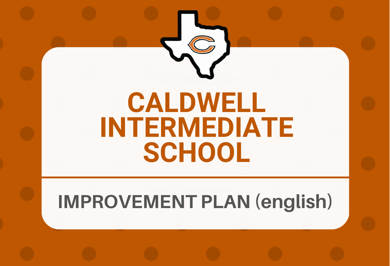 CIS Improvement Plan (english)