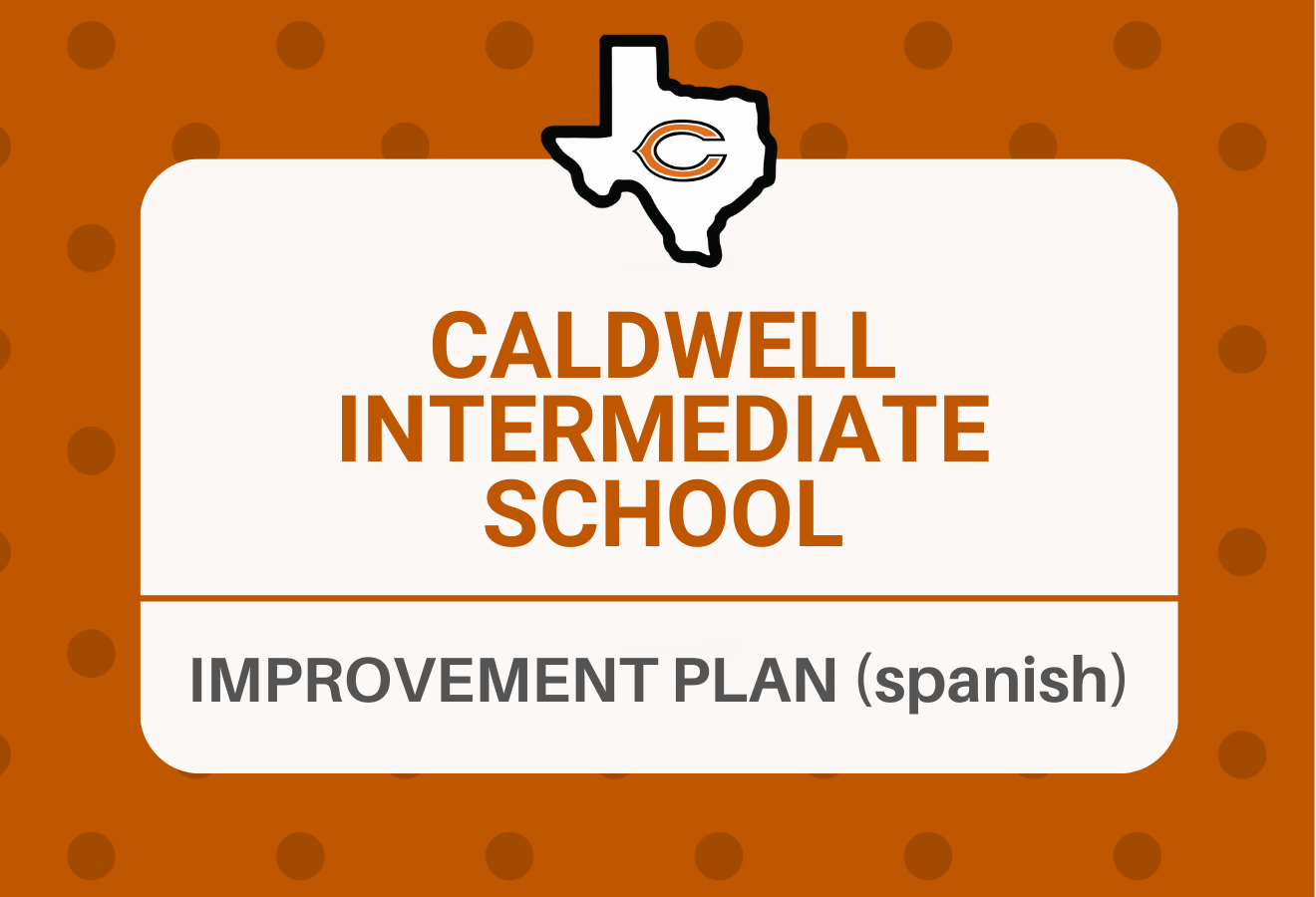 CIS Improvement Plan (spanish)