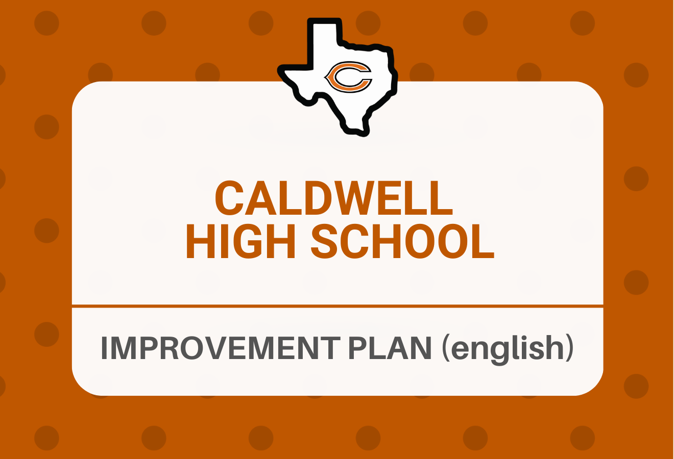 CHS Improvement Plan (english)
