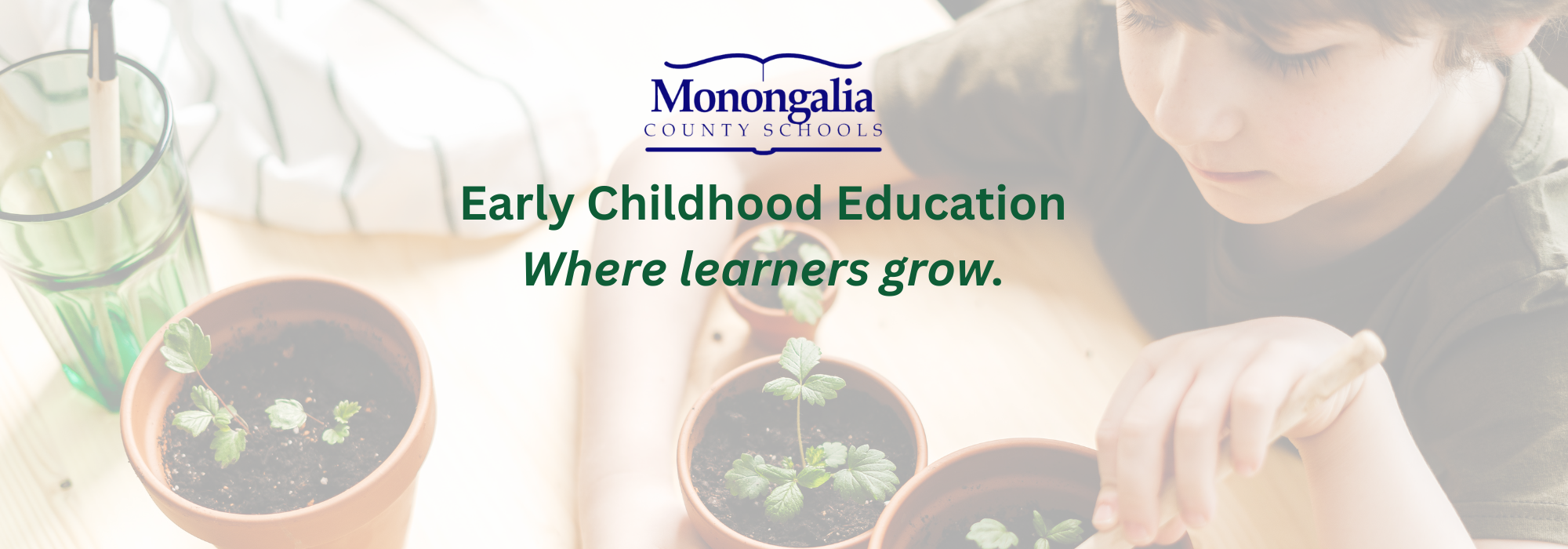 child potting green plants in terracotta pots. Green Text says Early Childhood Education Where learners grow. 