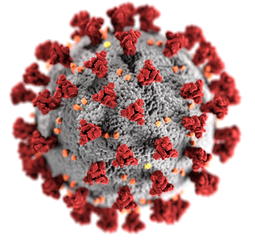 Microscopic view of the coronavirus