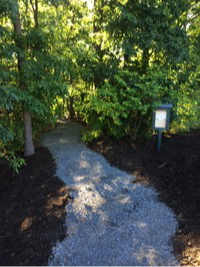 nature trail
