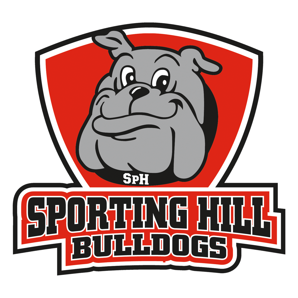 bulldog with red background