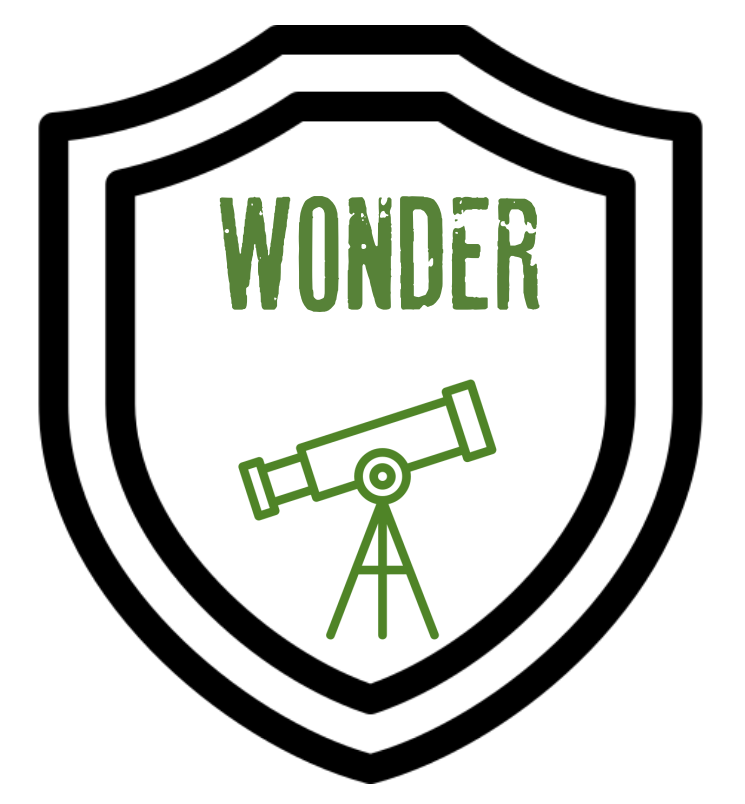 wonder logo