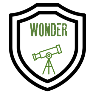 Wonder Logo