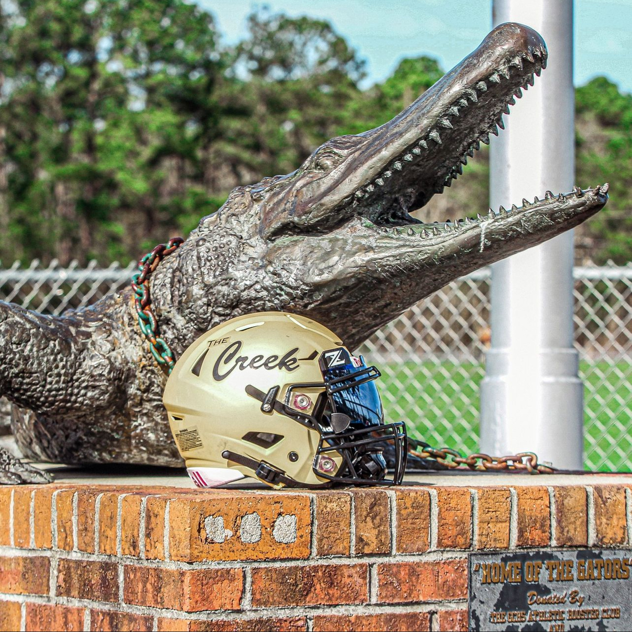 Gold Helmet