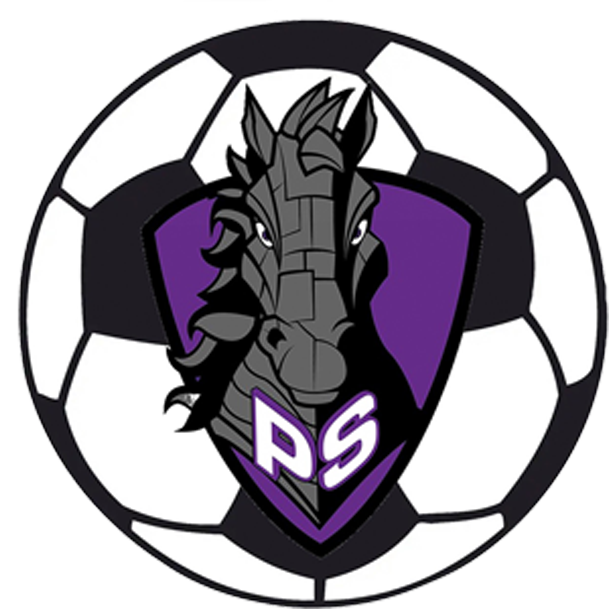 soccer logo