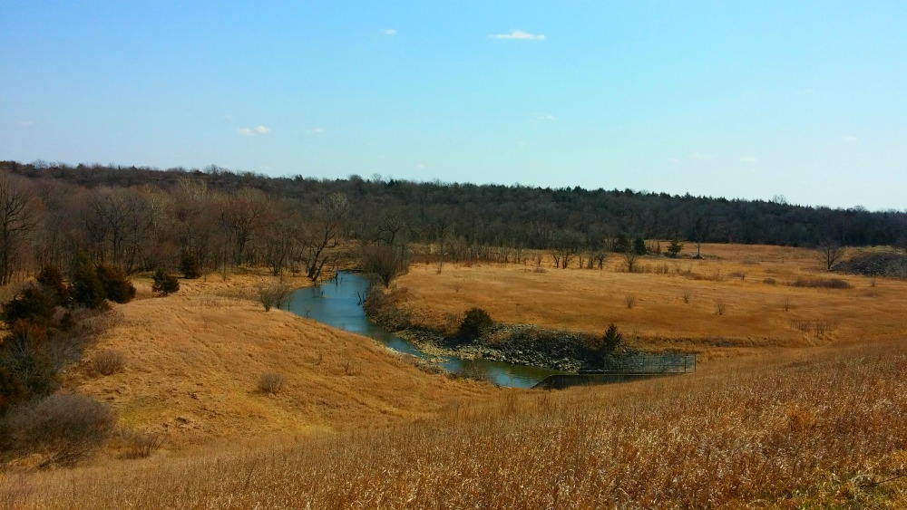 A picture of a river and lush, brown grassland in Cedar Reservoir