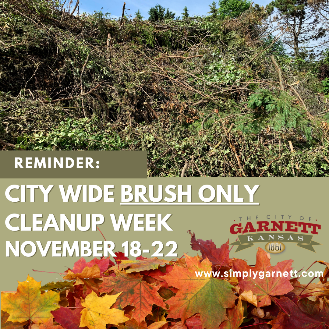 BRUSH ONLY CLEANUP