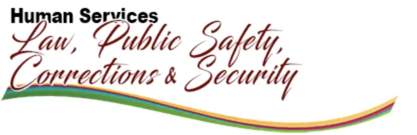 Law, Public Safety, Corrections and Security banner