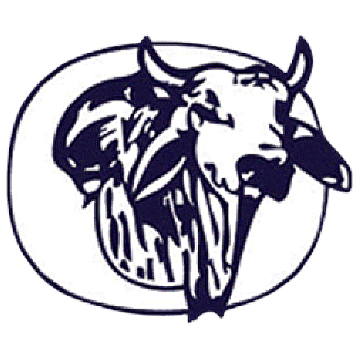 Home Okeechobee High School Home Okeechobee High School