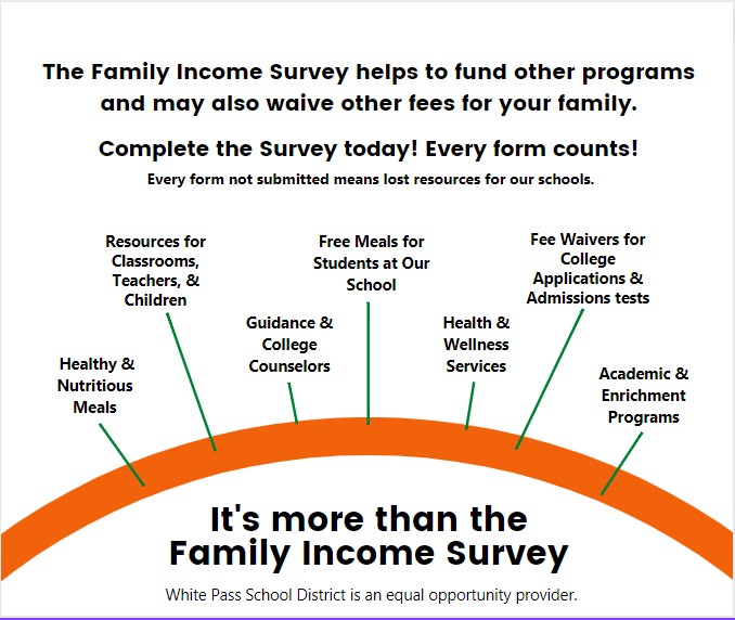 More Than A Survey