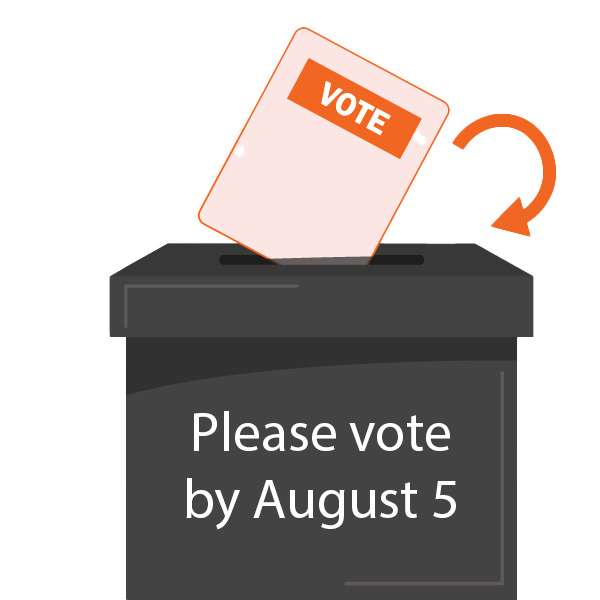 Voters Box