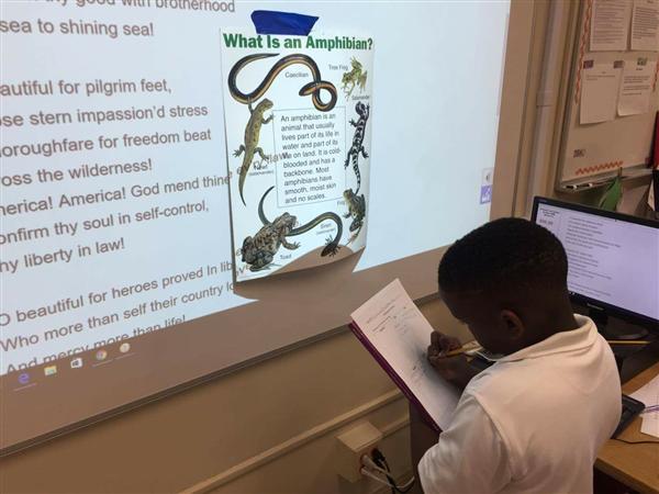 A young person engrossed in studying a slide from a presentation on amphibians.