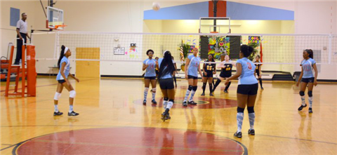 Volleyball team playing