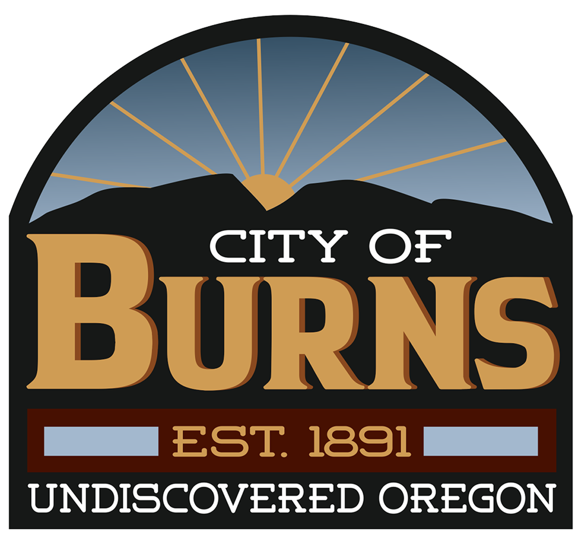 Live Feed City Of Burns