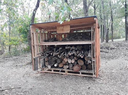 A wooden crate filled with logs, placed in a serene forest setting.