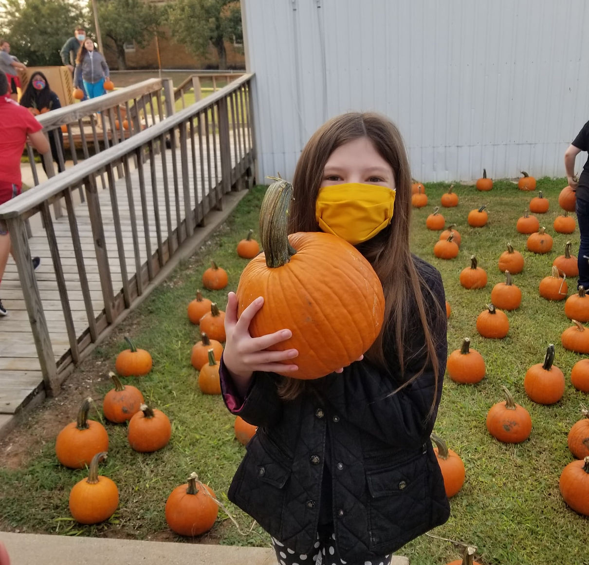 kid holding a pumpkin in a pumpkin patch