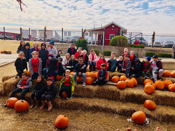 Students by a pumpkin patch