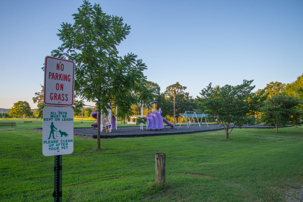 The image shows a park with slide and a no parking sign 