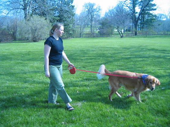 A lady walking on the green field with her dog with beautiful trees at the background.