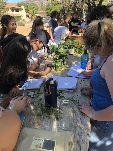 class working with plants