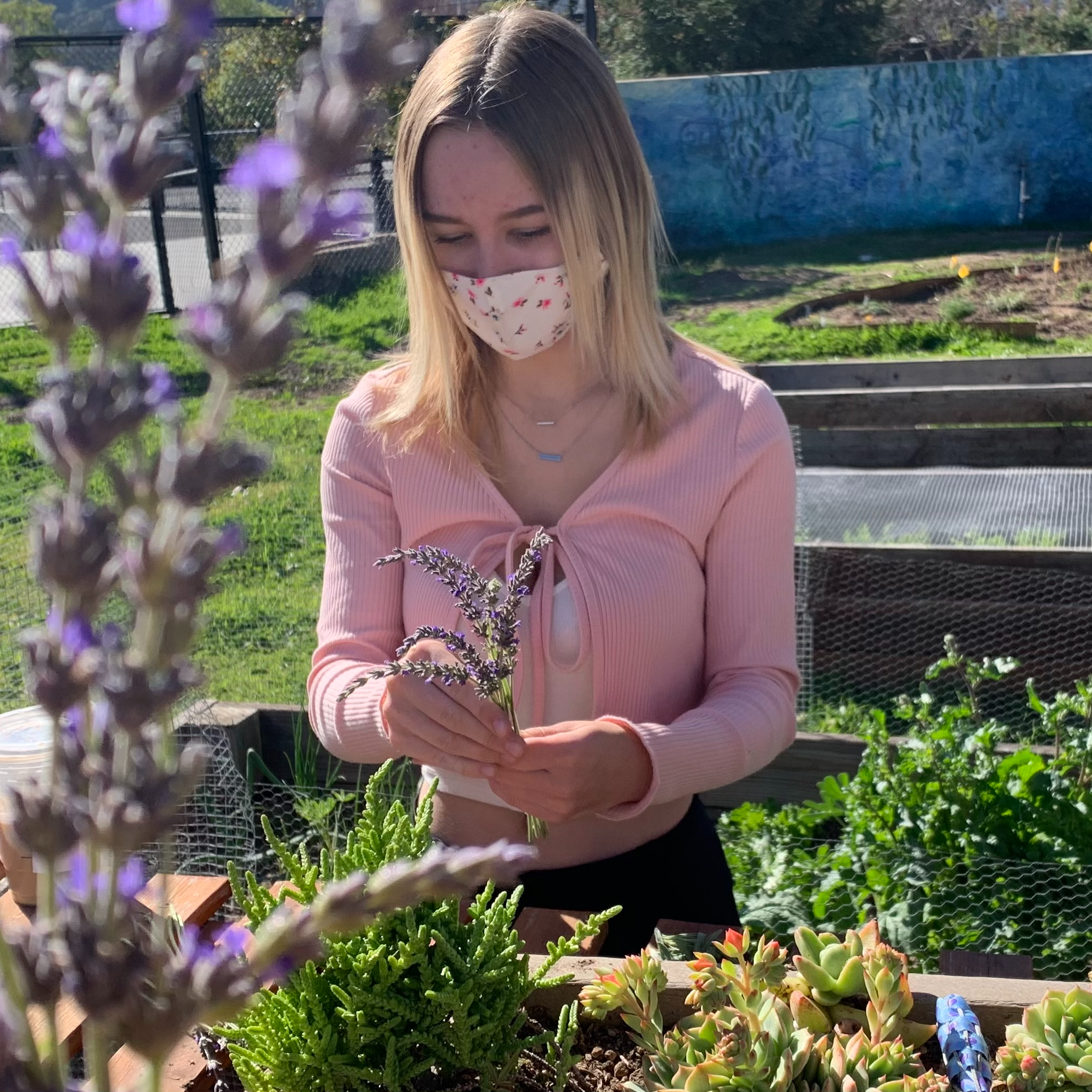 Student picking herbs