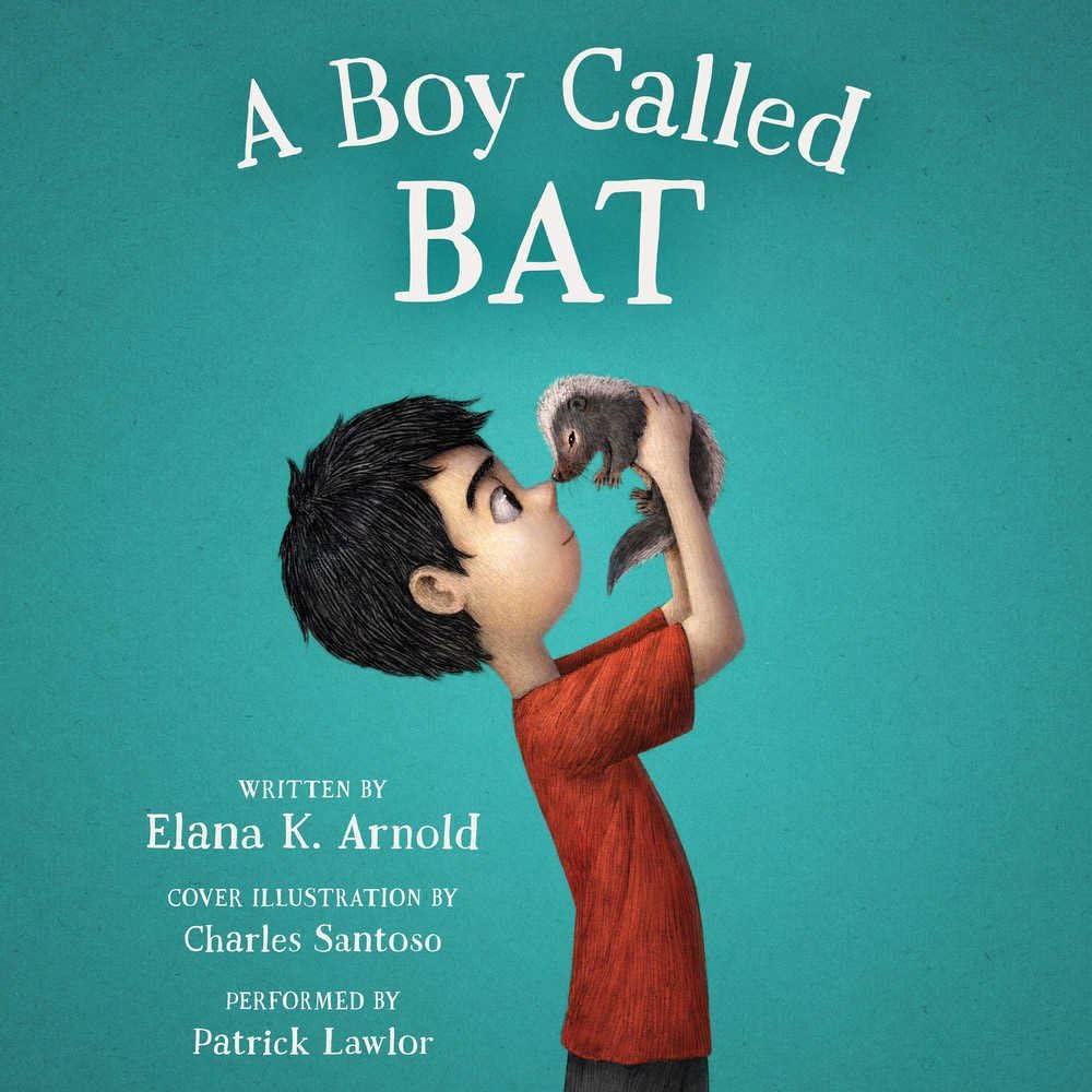 A Boy Called Bat book cover