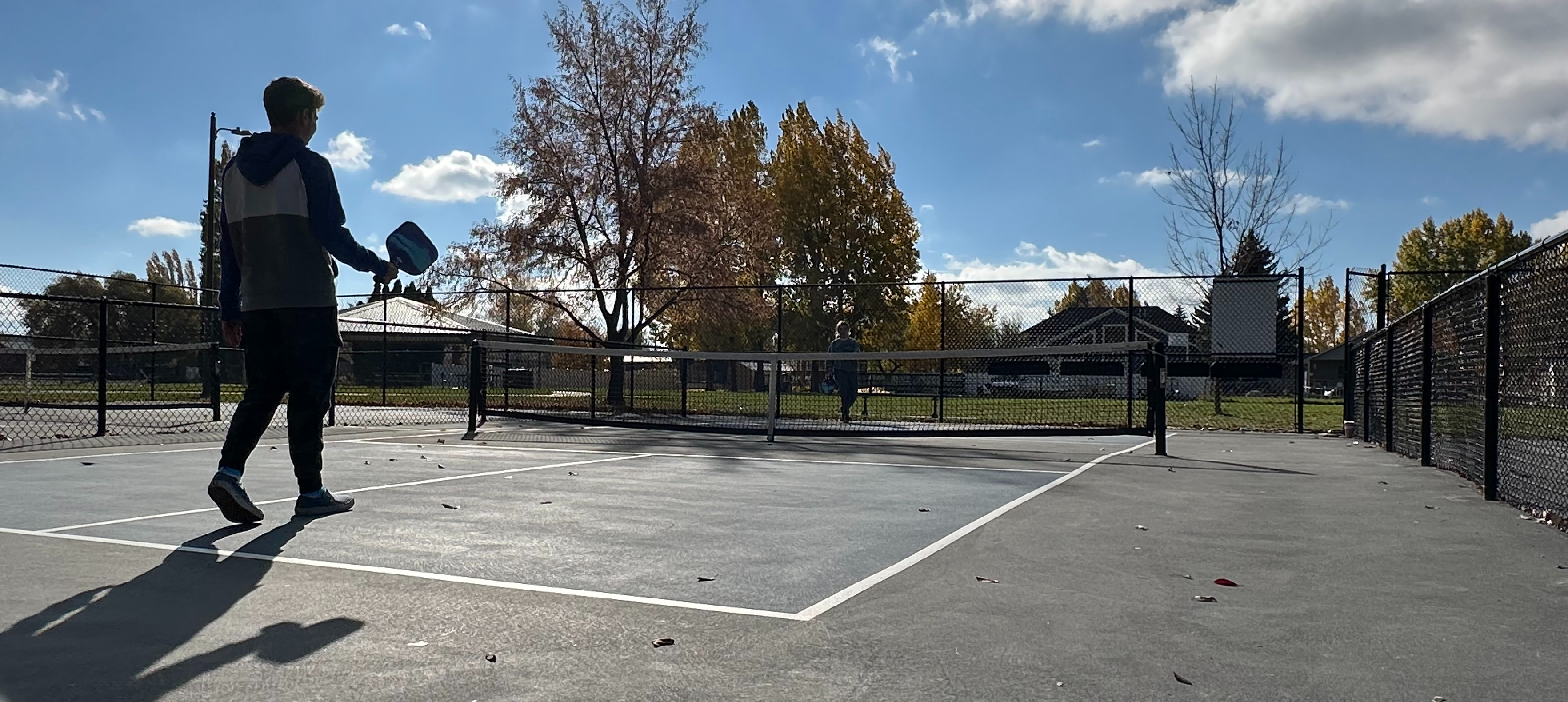 Person holding paddle on a tennis court with a fence. Background includes trees and cloudy sky.