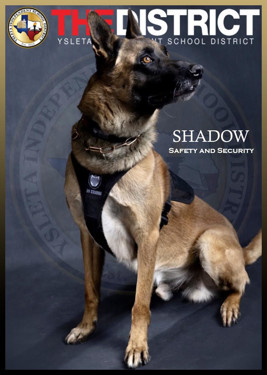 Shadow, german sheperd k-9 unit