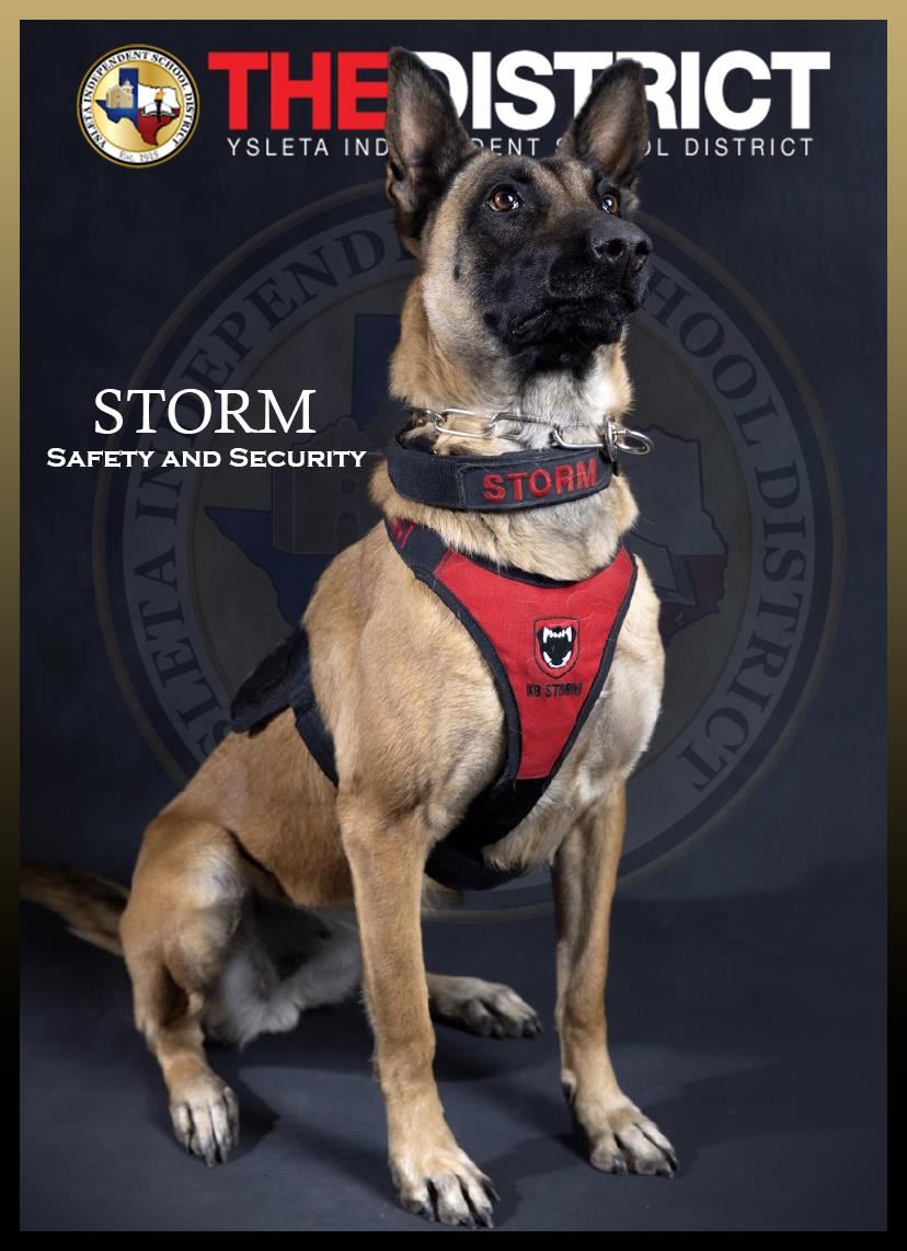 Storm, german sheperd k-9 unit