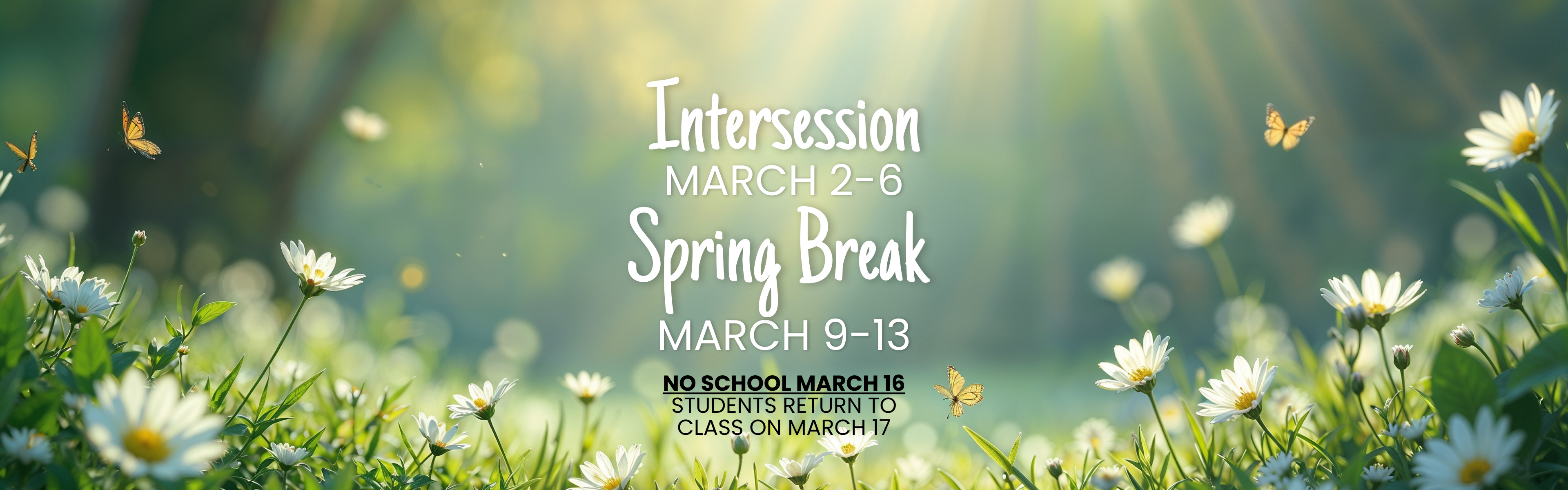 Interession Schedule