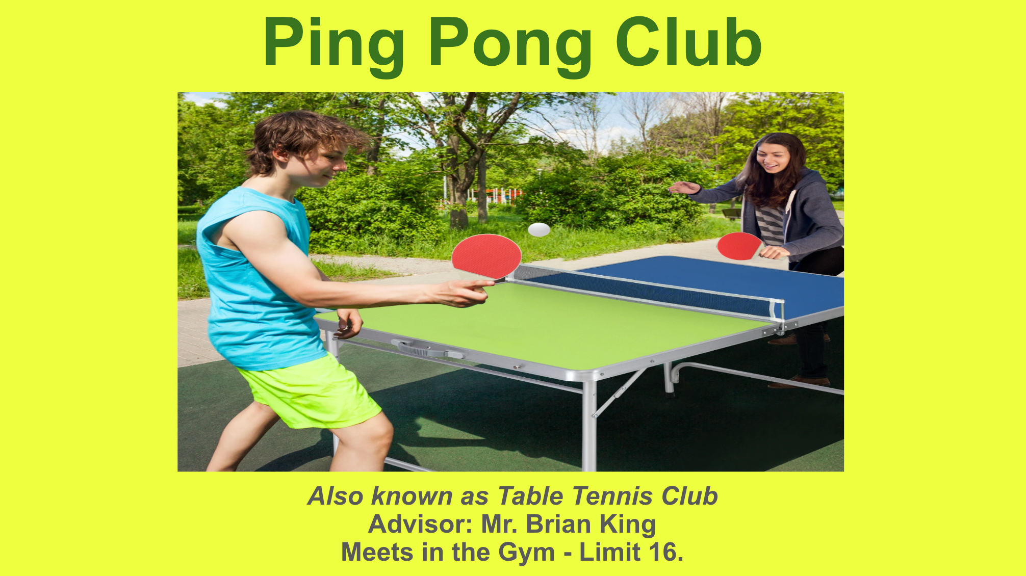 Ping Pong