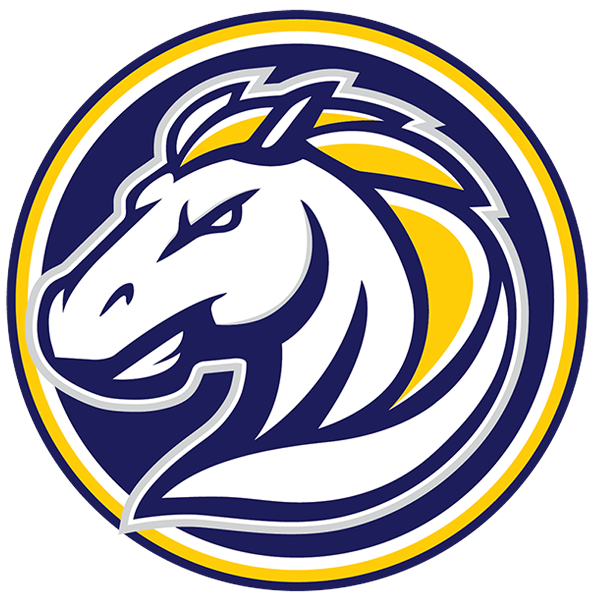 Physical Education Flowing Wells Junior High