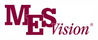MES Vision Logo