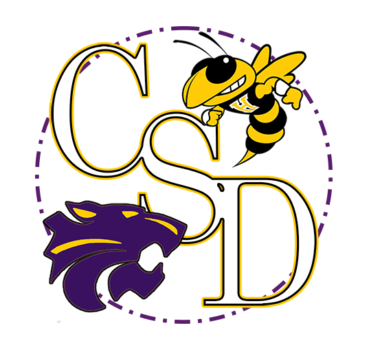 CSD Logo