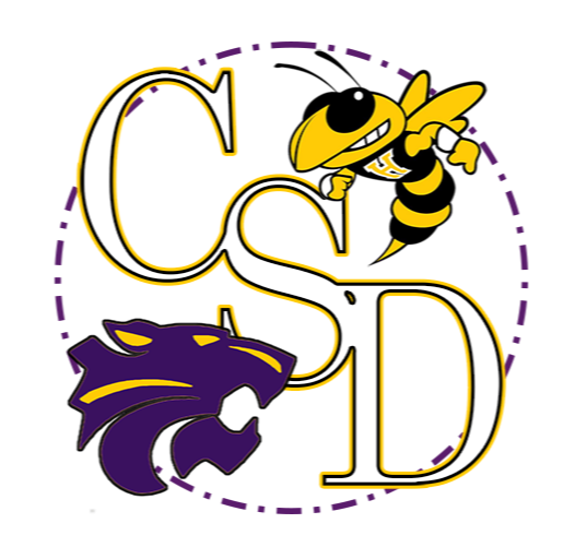 CSD Logo