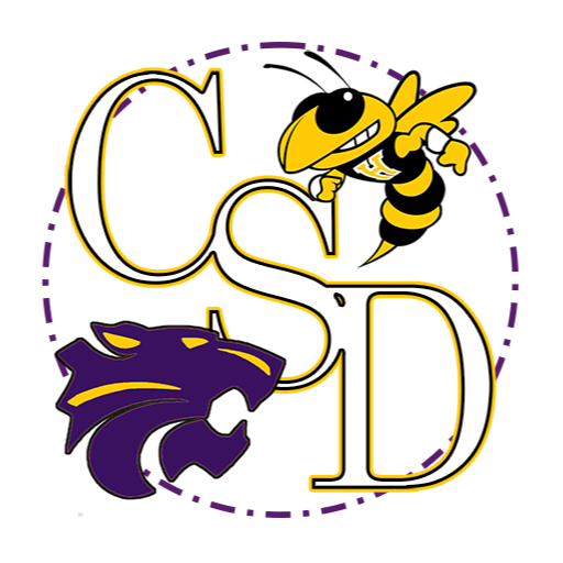 CSD Logo