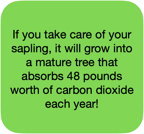 A mature tree will absorb 48lbs. of carbon dioxide each year!