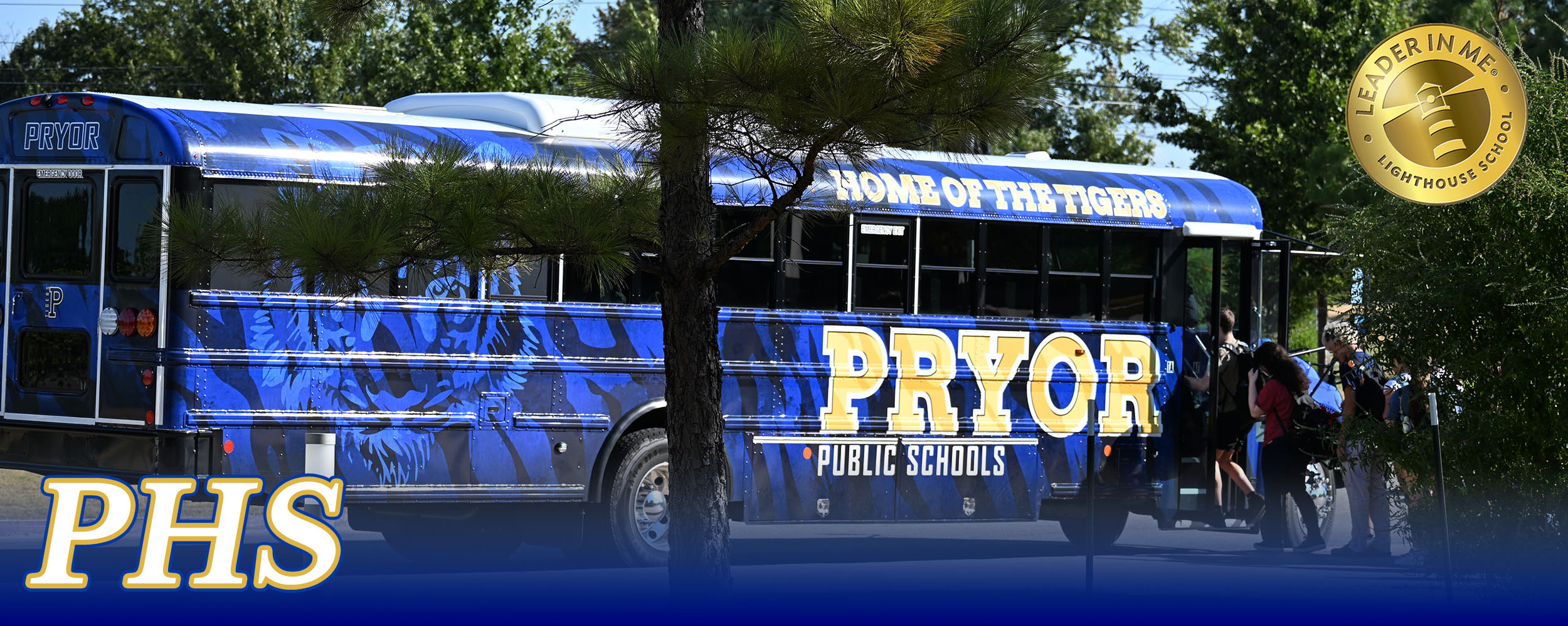 blue bus