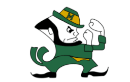 Image of an fighting irish guy