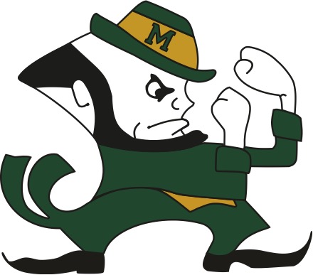 Irish Guy Logo
