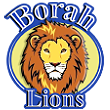 Borah Team