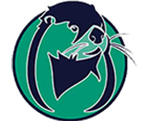 NEXA Team