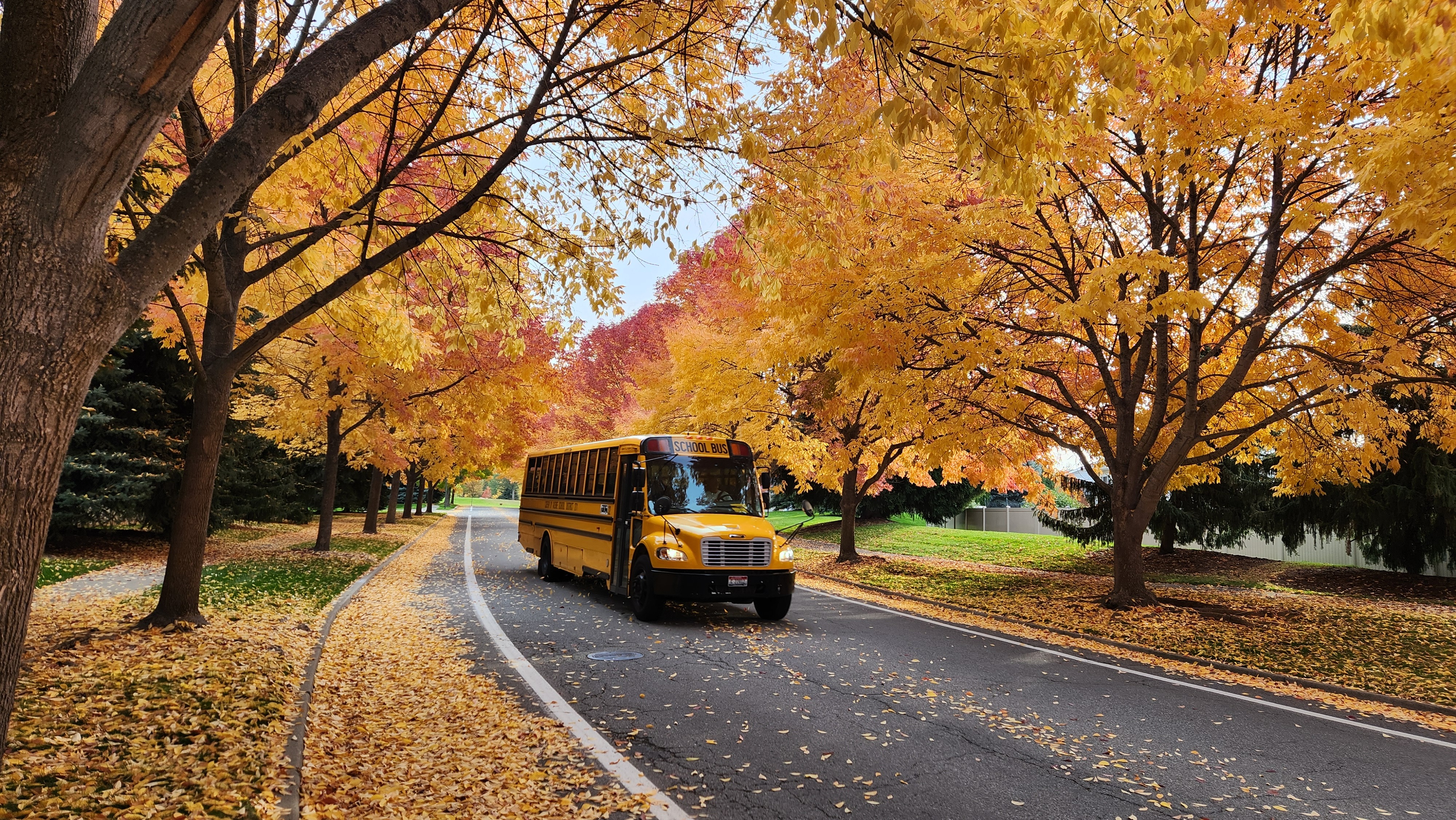 TRANSPORTATION STAFF