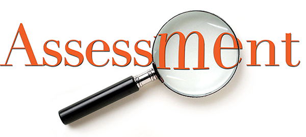 "Assessment" image